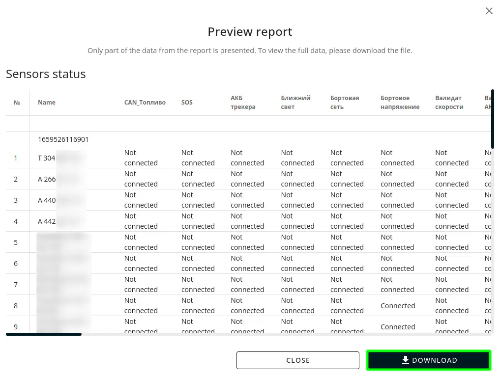 Preview report